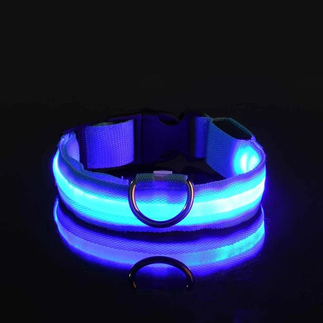 LED dog collar