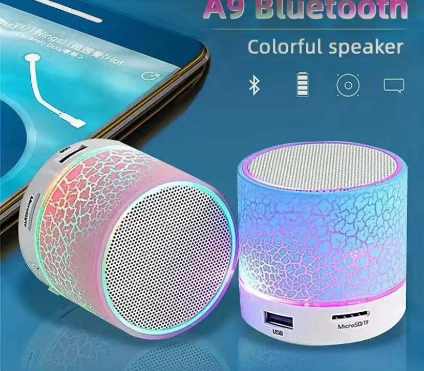 Bluetooth Wireless Speaker