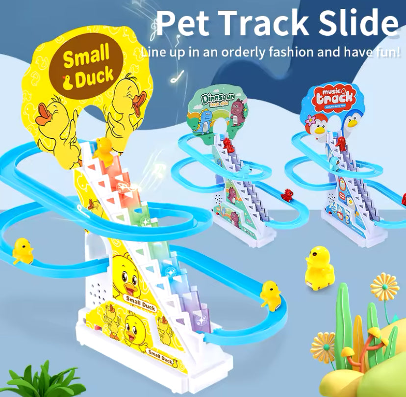 Pet Track Slides