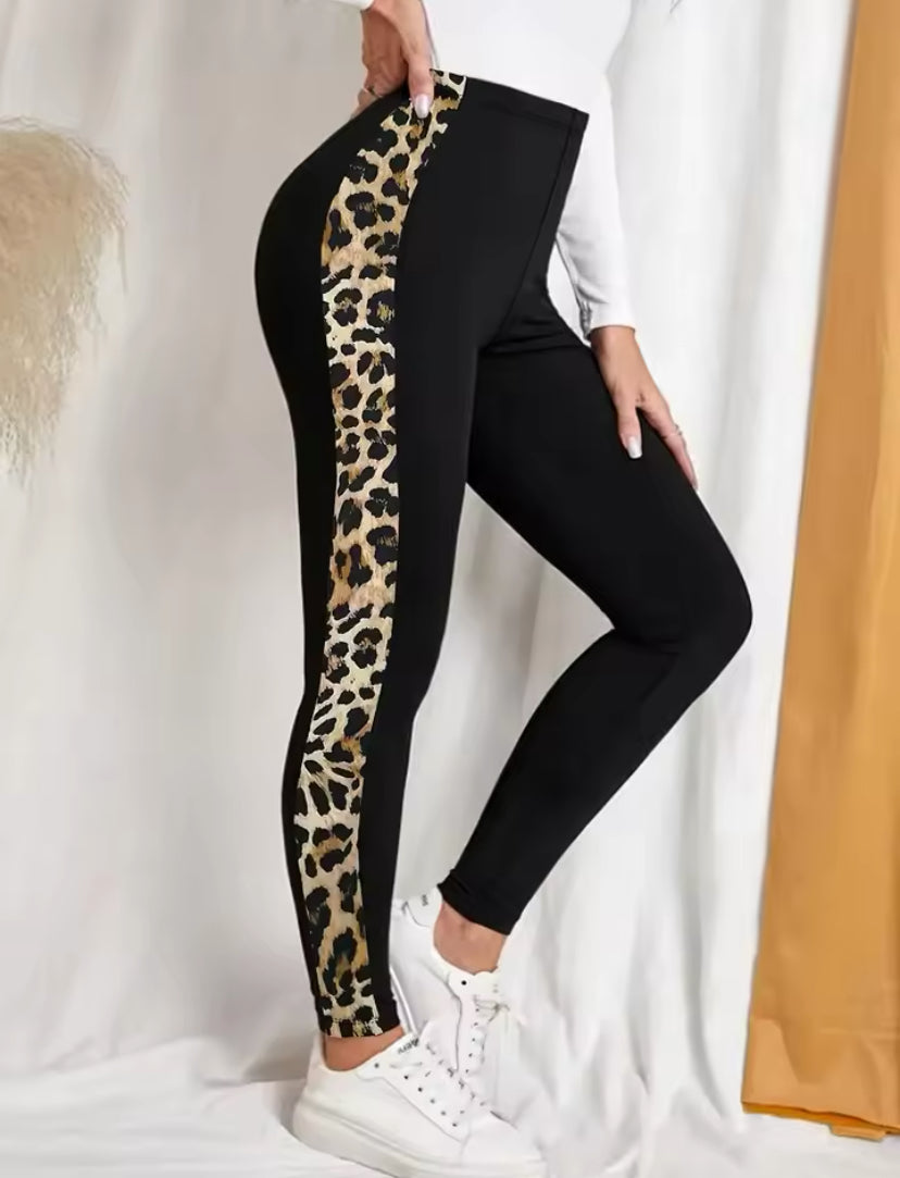 Women Legging