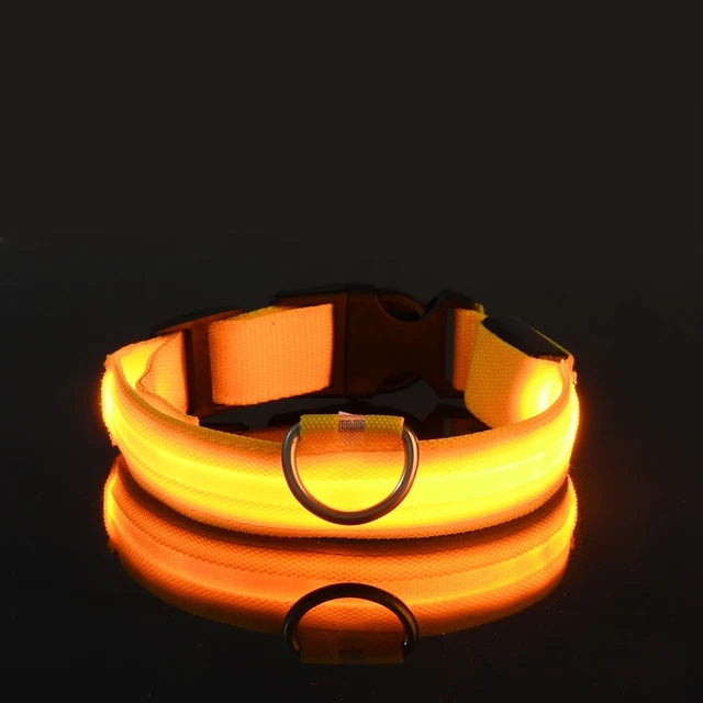 LED dog collar