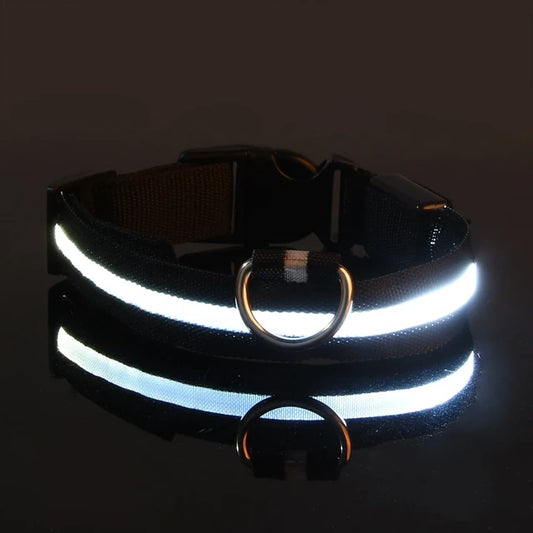 LED dog collar