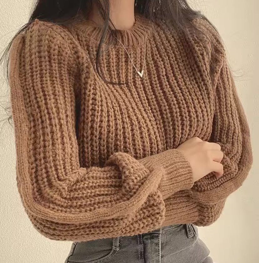 Women Sweater