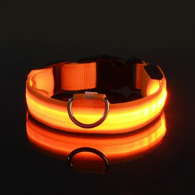 LED dog collar