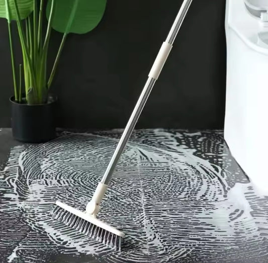 Hard Bristle Scrub Brush