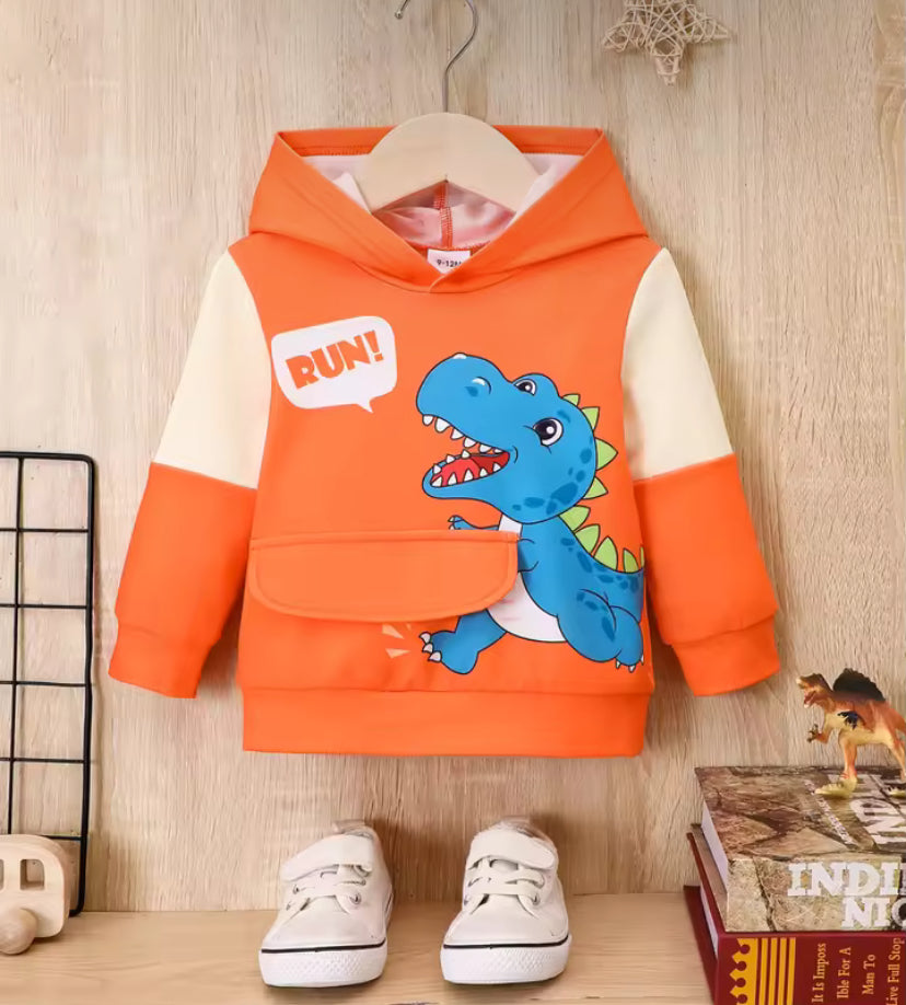 Boys Dinosaur Hoodie