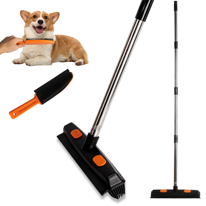 Carpet Rake Fur Remover Broom