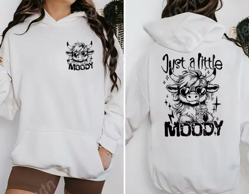 Women Hoodie