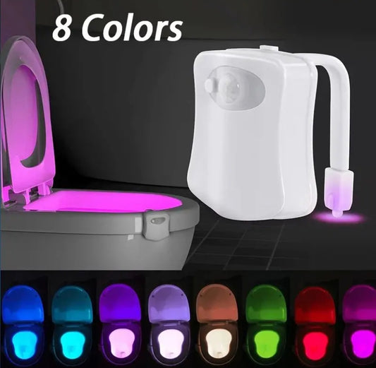 LED Toilet Light