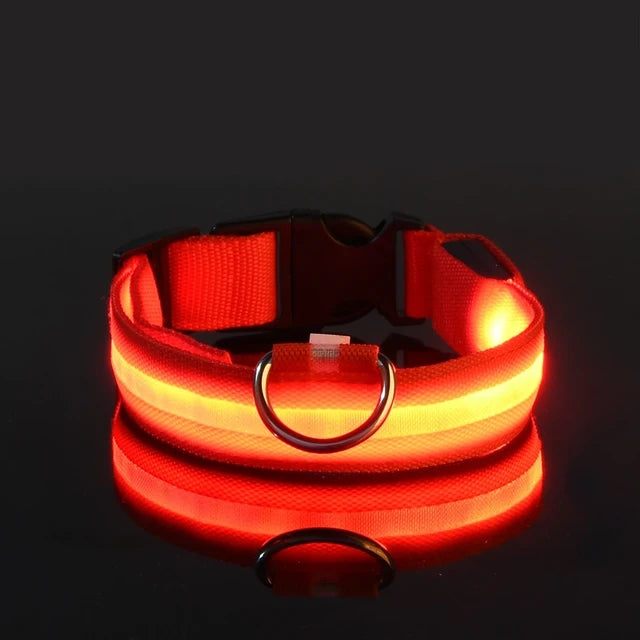 LED dog collar