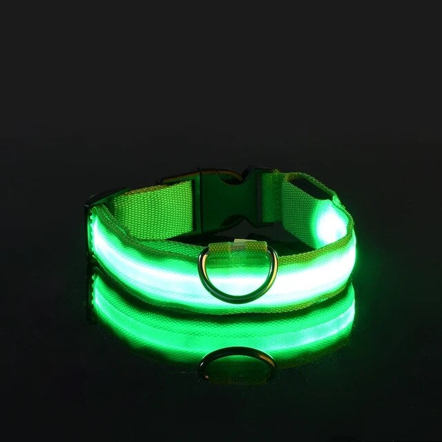 LED dog collar