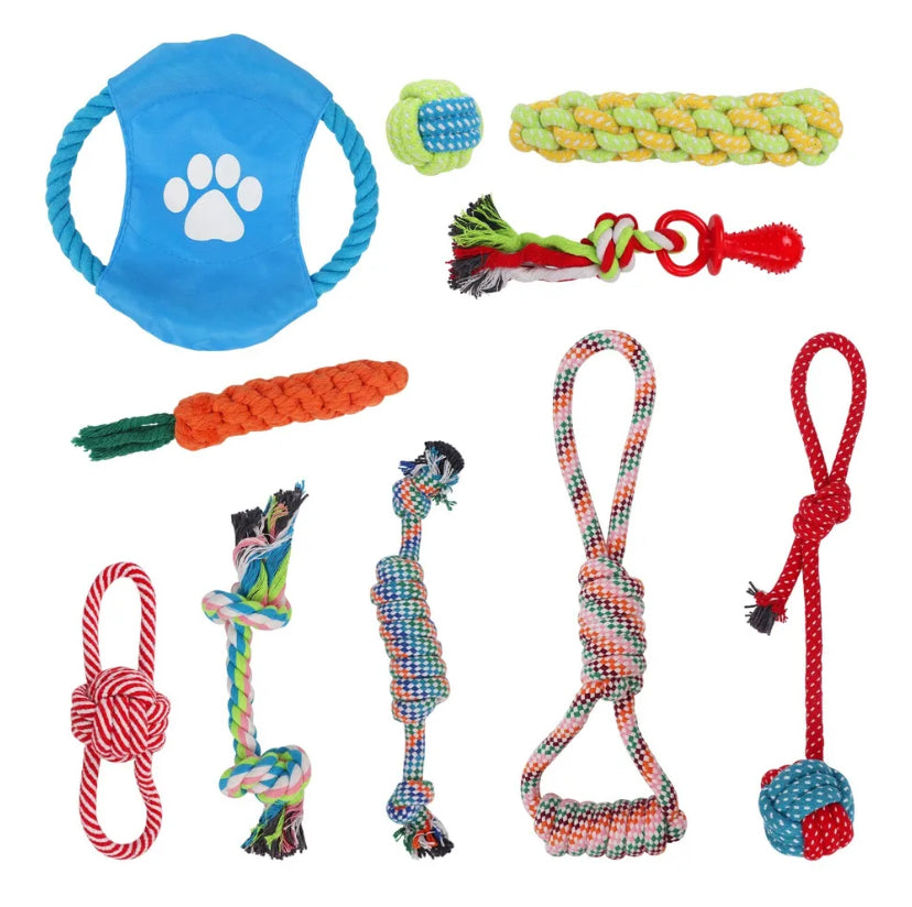 Dog Toy Bundle