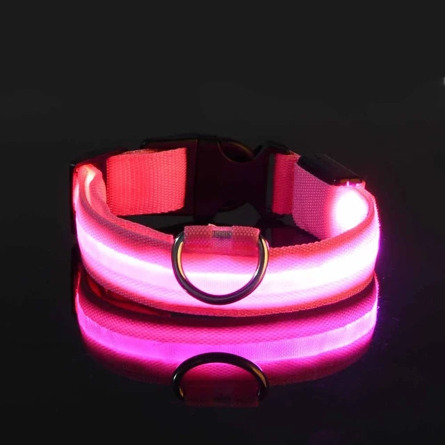 LED dog collar