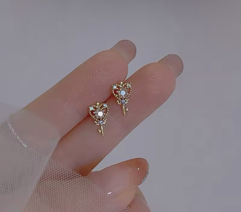 Earrings